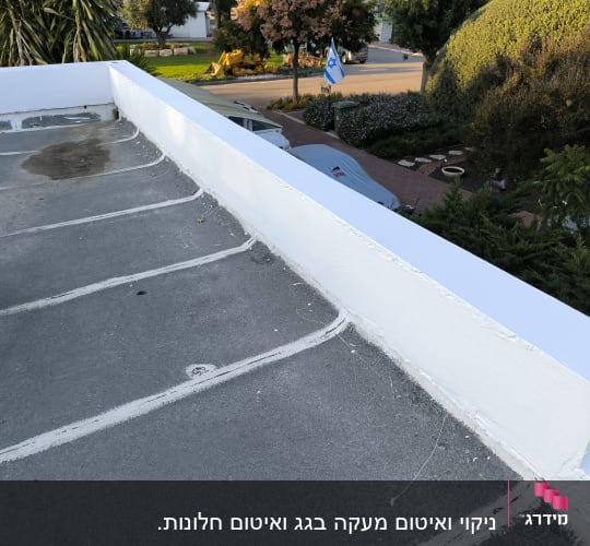 גג אטום עם קווים לבנים, עצים ודגל ישראל ברקע